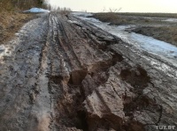 "Ямы метровые". В Дрибинском районе размытая дорога отрезала деревню от "большой земли"
